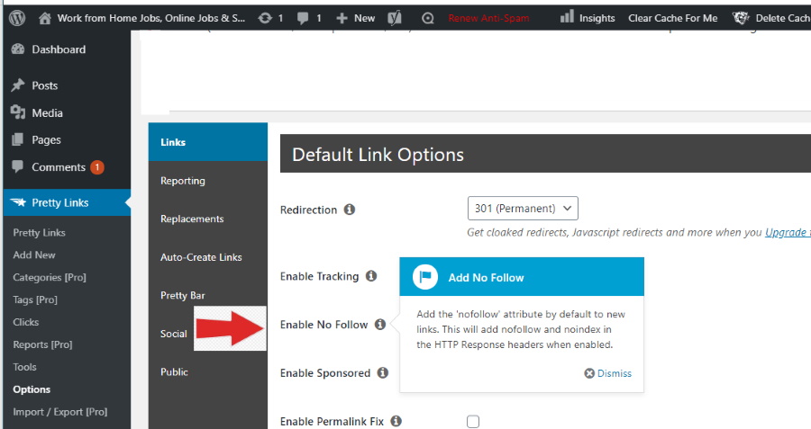 pretty links help you cloak your affiliate links -  image shows no follow settings